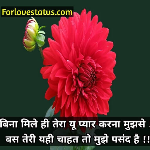 Feeling of Love Quotes in Hindi for Whatsapp Images,
Feeling of love quotes with images,
Love feeling quotes images,
First love feeling quotes,
The feeling of love quotes,
Love images with quotes and sayings,
True love quotes images in hindi,
True love images in hindi shayari,
Love shayari image download,
Love shayari with image in hindi,
Feeling of Love Quotes, 
Feeling of Love Quotes in Hindi