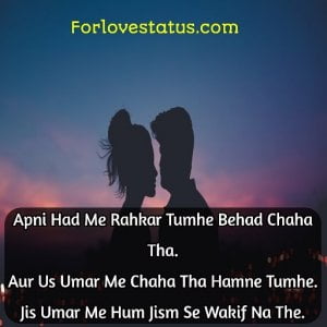 10 Best WhatsApp Quotes Status Love For Girlfriend With Pic