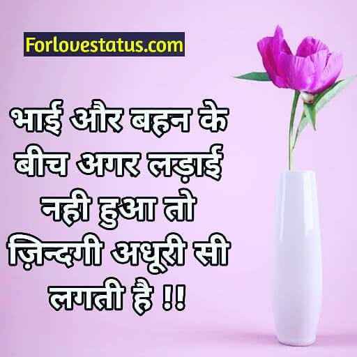 Brother and sister love quotes, Brother And Sister Love Quotes in English, Brother And Sister Love Quotes in Hindi, brother and sister quotes, brother and sister quotes images, Brother and sister relationship quotes with images, Brother and sister shayari in hindi, brother and sister status in Hindi, brother sister quotes, Brother to little sister quotes, Brother To Sister Quotes in Hindi With Image Download