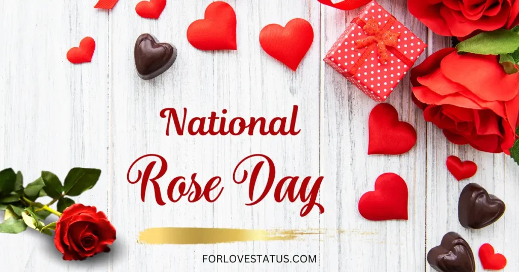 rose day wishes,
rose day wishes in hindi,
happy rose day wishes,
rose day wishes for boyfriend,
rose day wishes for love,
rose day wishes for husband,
rose day wishes for girlfriend,
rose day wishes for wife,
happy rose day wishes quotes,
rose day wishes to friends,
happy rose day wishes for my love,
à¤°à¥‹à¤œ à¤¡à¥‡ à¤µà¤¿à¤¶à¥‡à¤¸,